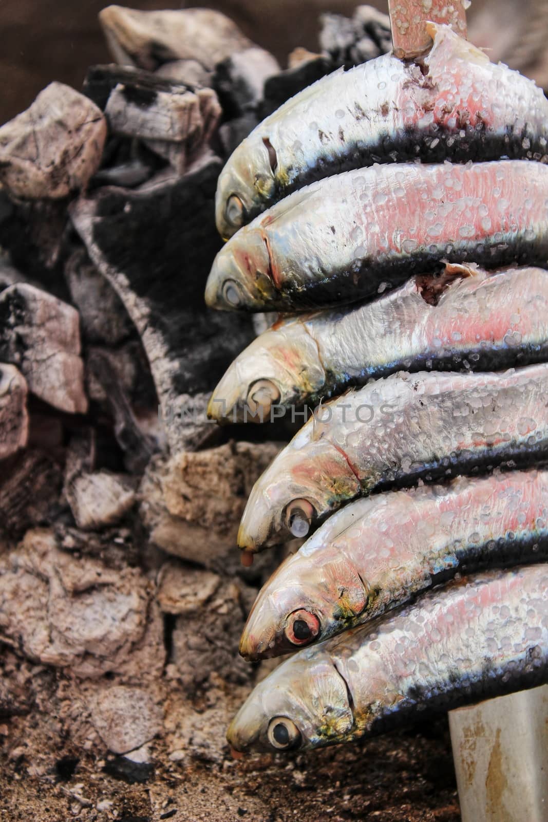 Roasted sardines on a spit in southern Spain by soniabonet