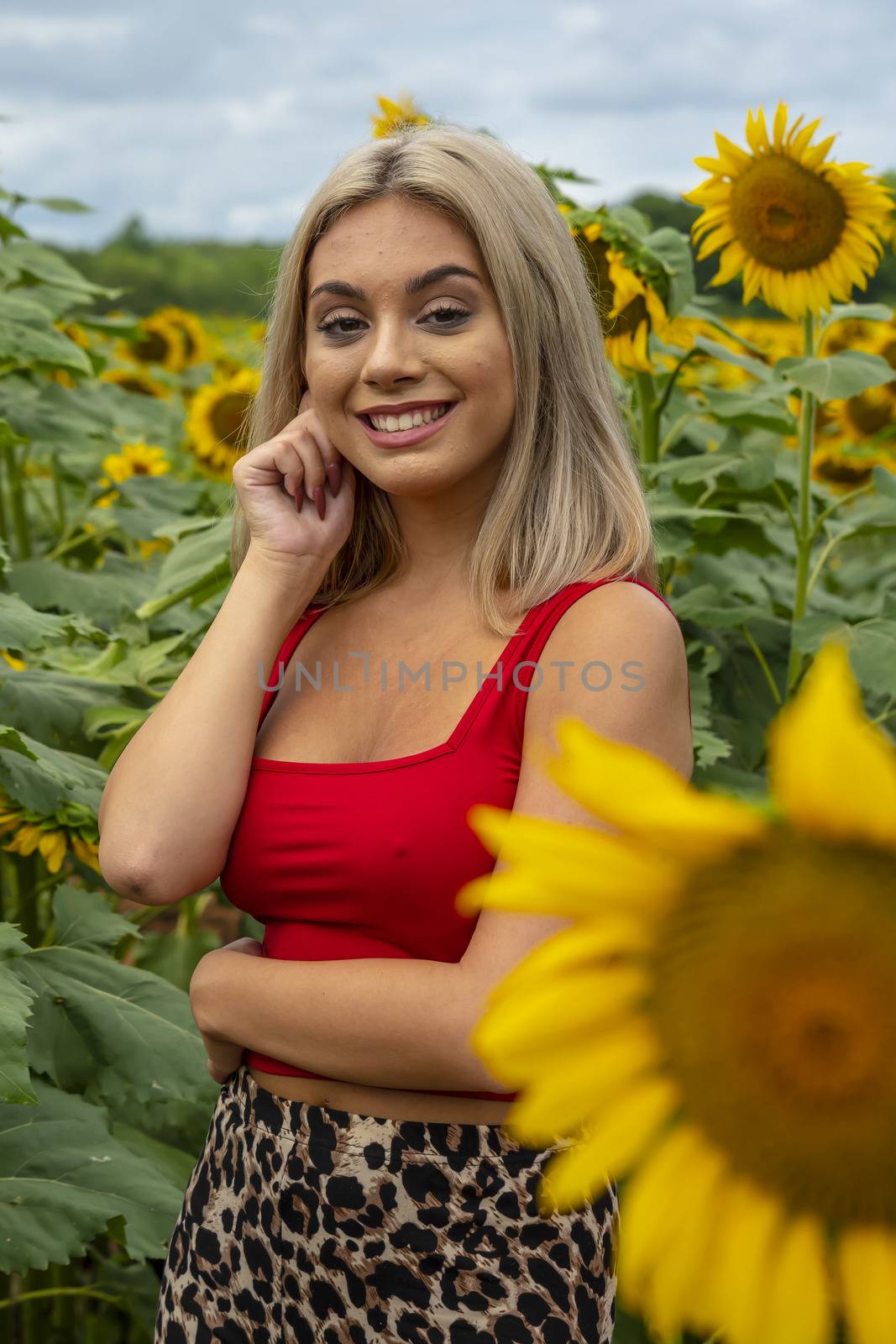 A gorgeous young blonde model poses outdoors in a field of sunflowers while enjoying a summers day