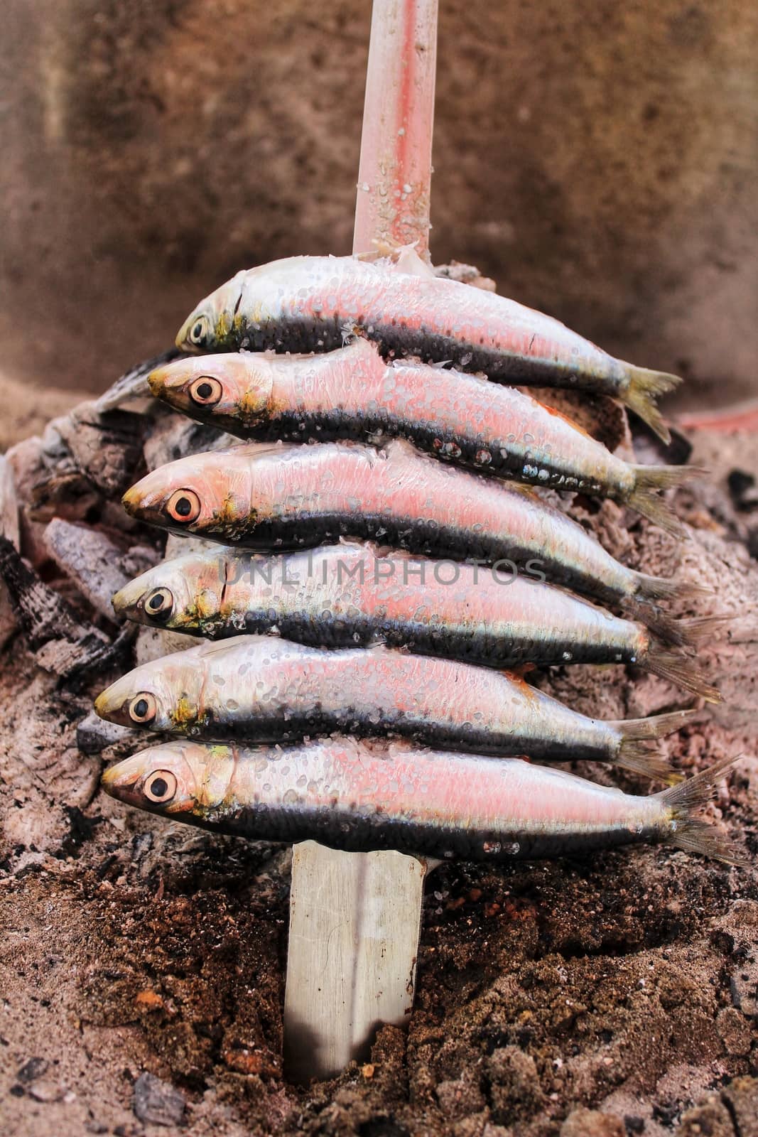 Roasted sardines on a spit in southern Spain in summer