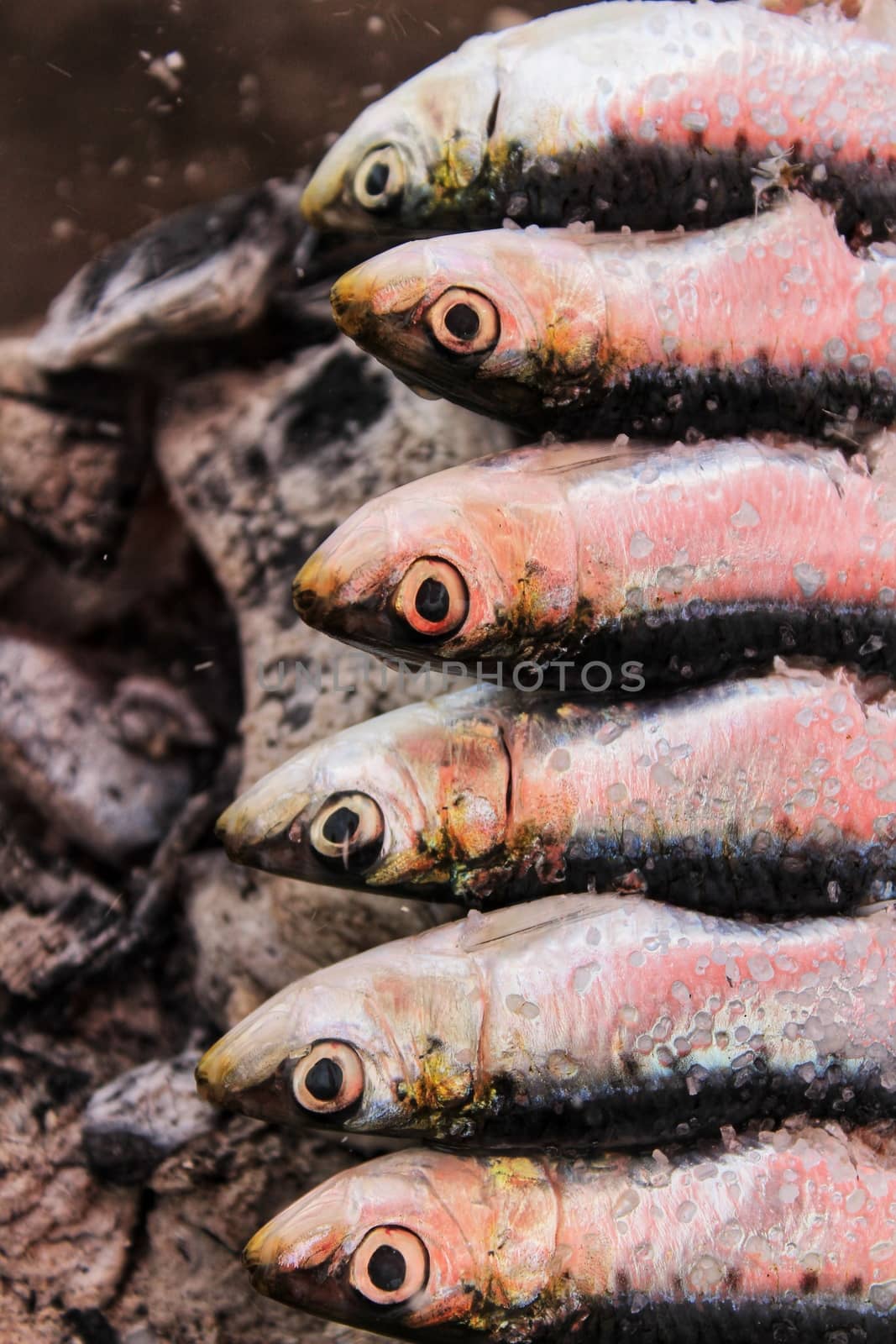 Roasted sardines on a spit in southern Spain in summer