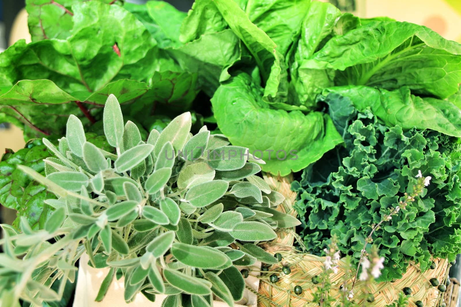 Green vegetables at a ecological market stall in Elche by soniabonet