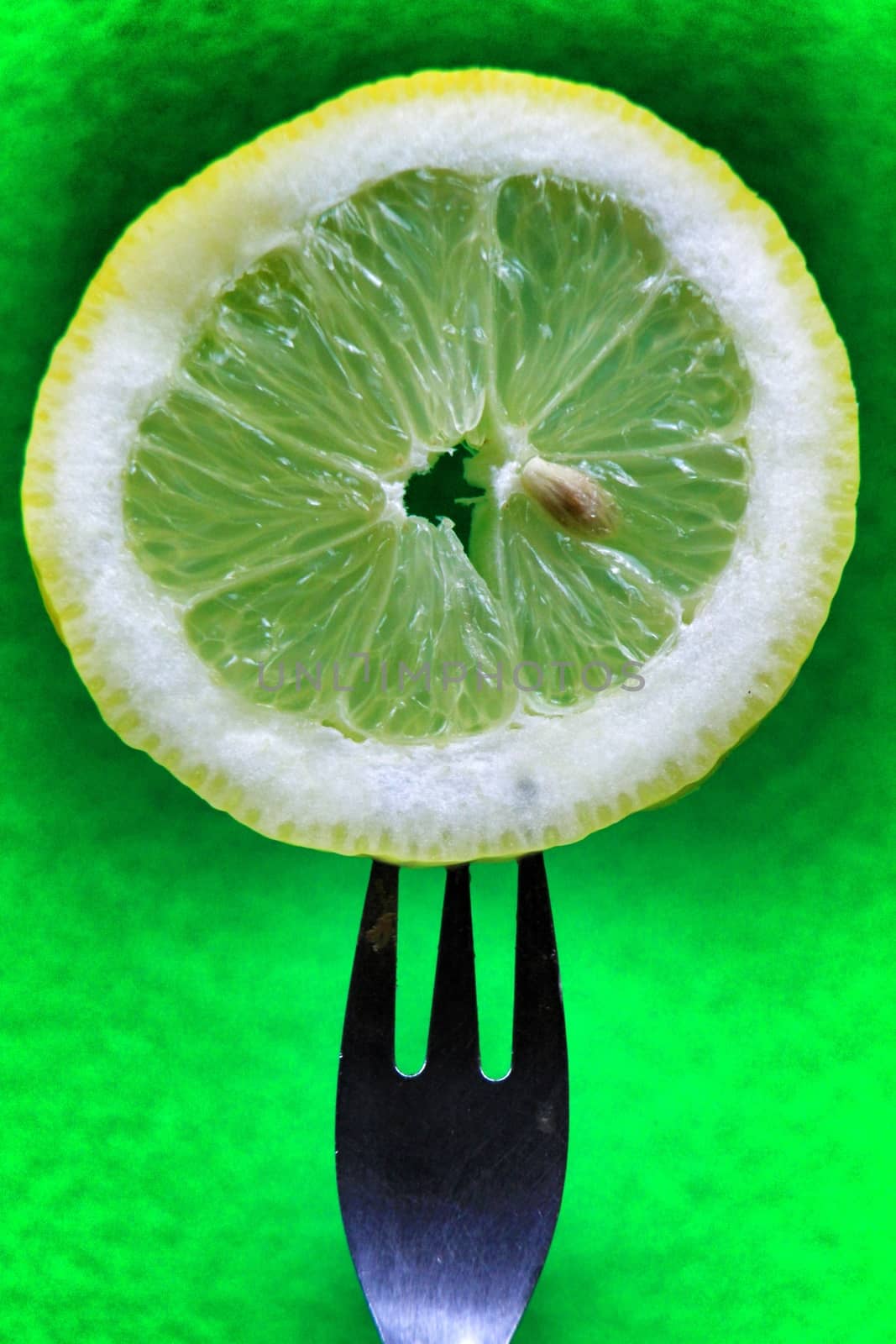 Slice of lemon pricked on fork on colorful green background