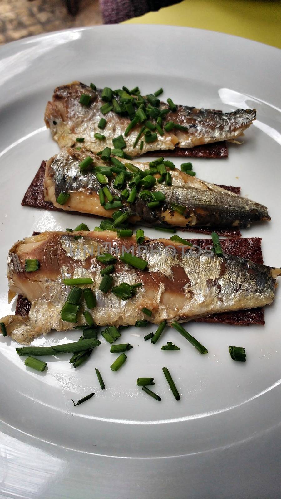 Tasty sardines flavored with chives on a plate in Portugal