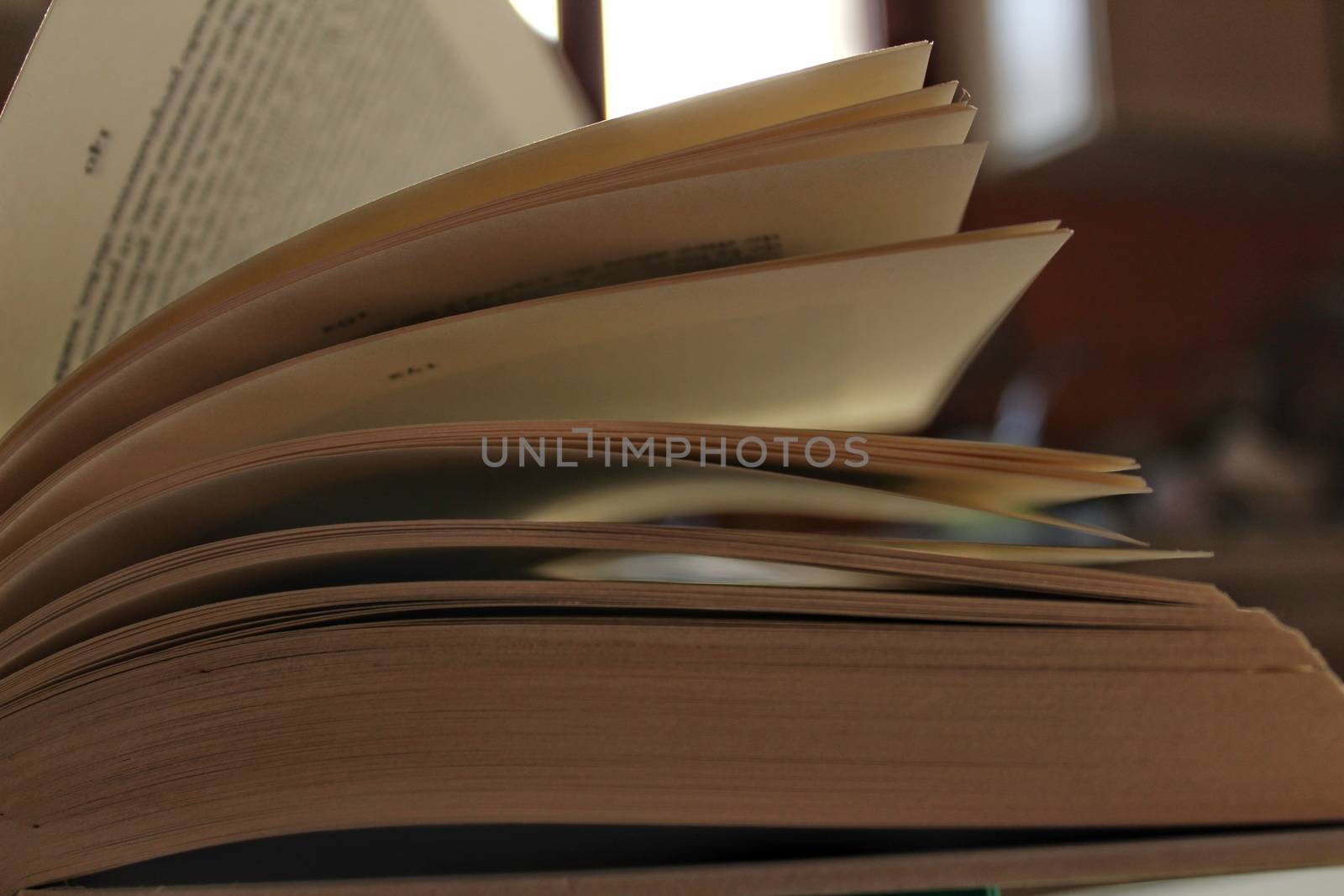 Open book and leafed by the wind. Blue sky in the foreground