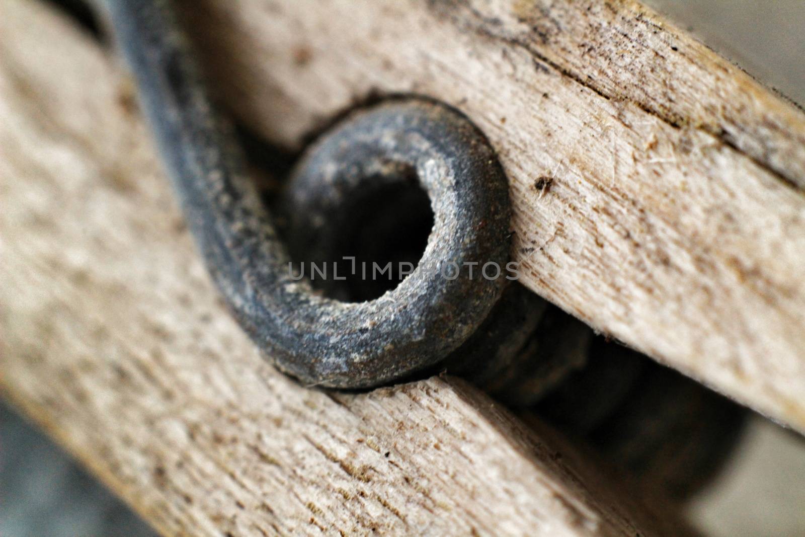 Macro Photo of old wooden clamp by soniabonet