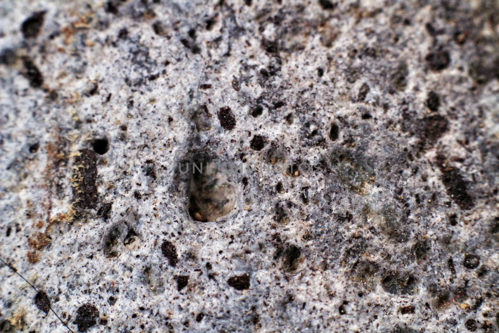 Grey rock texture. Macro photography