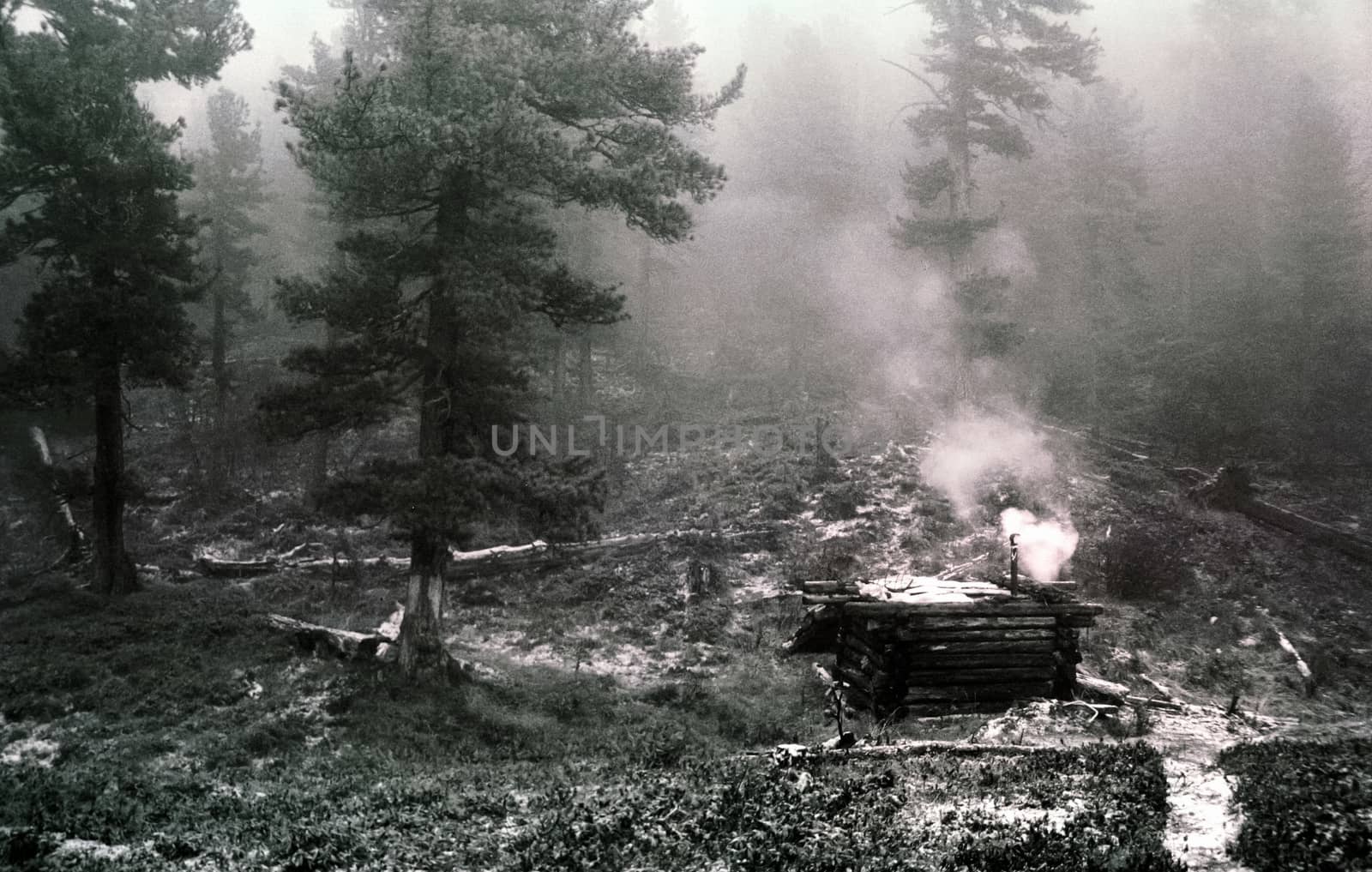 A forester's house in the woods. A night for forest workers.