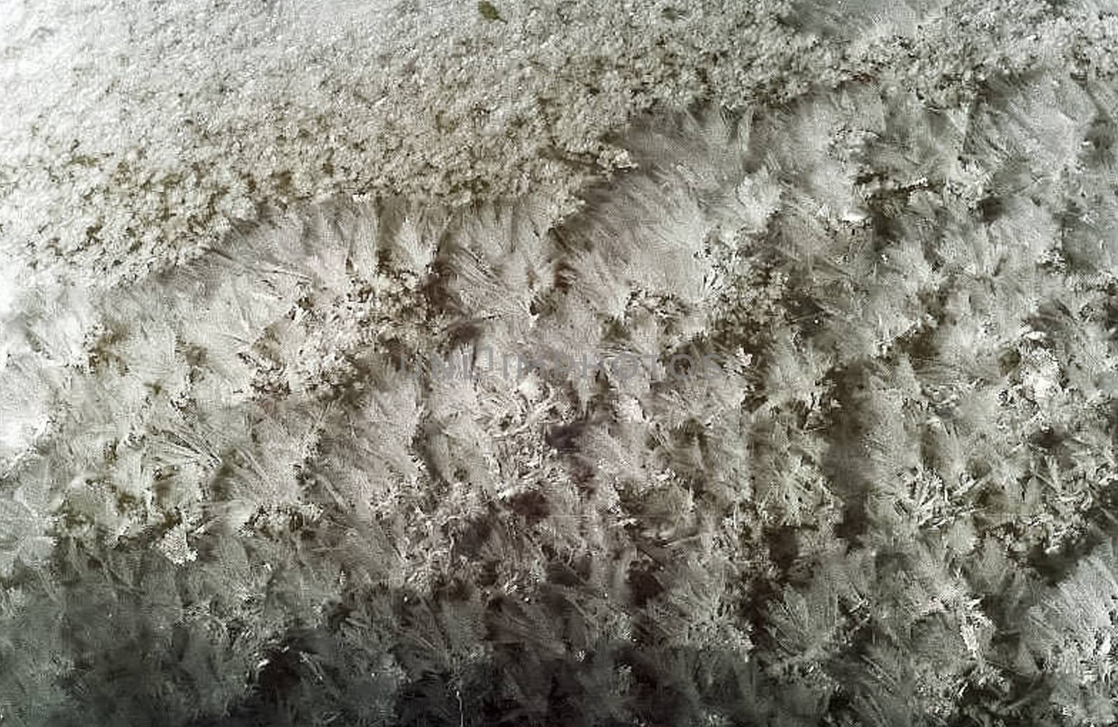 Frost and snow on the autumn frost. First frosts