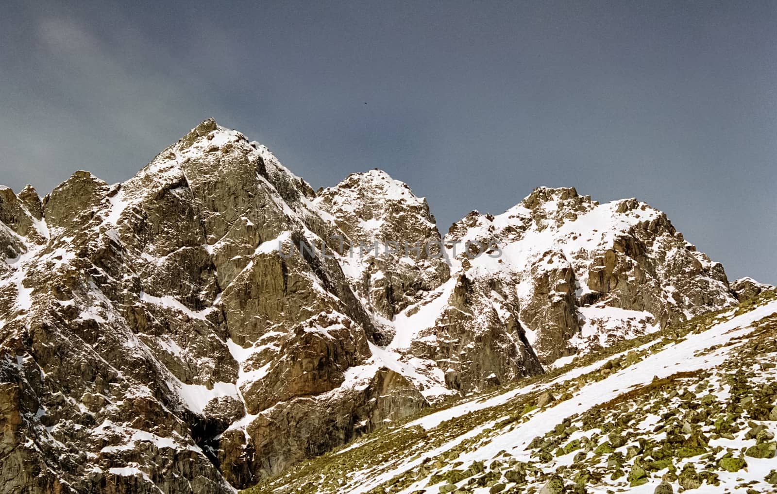 Mount Sayan in winter in the snow. The nature of the mountains is sayan.