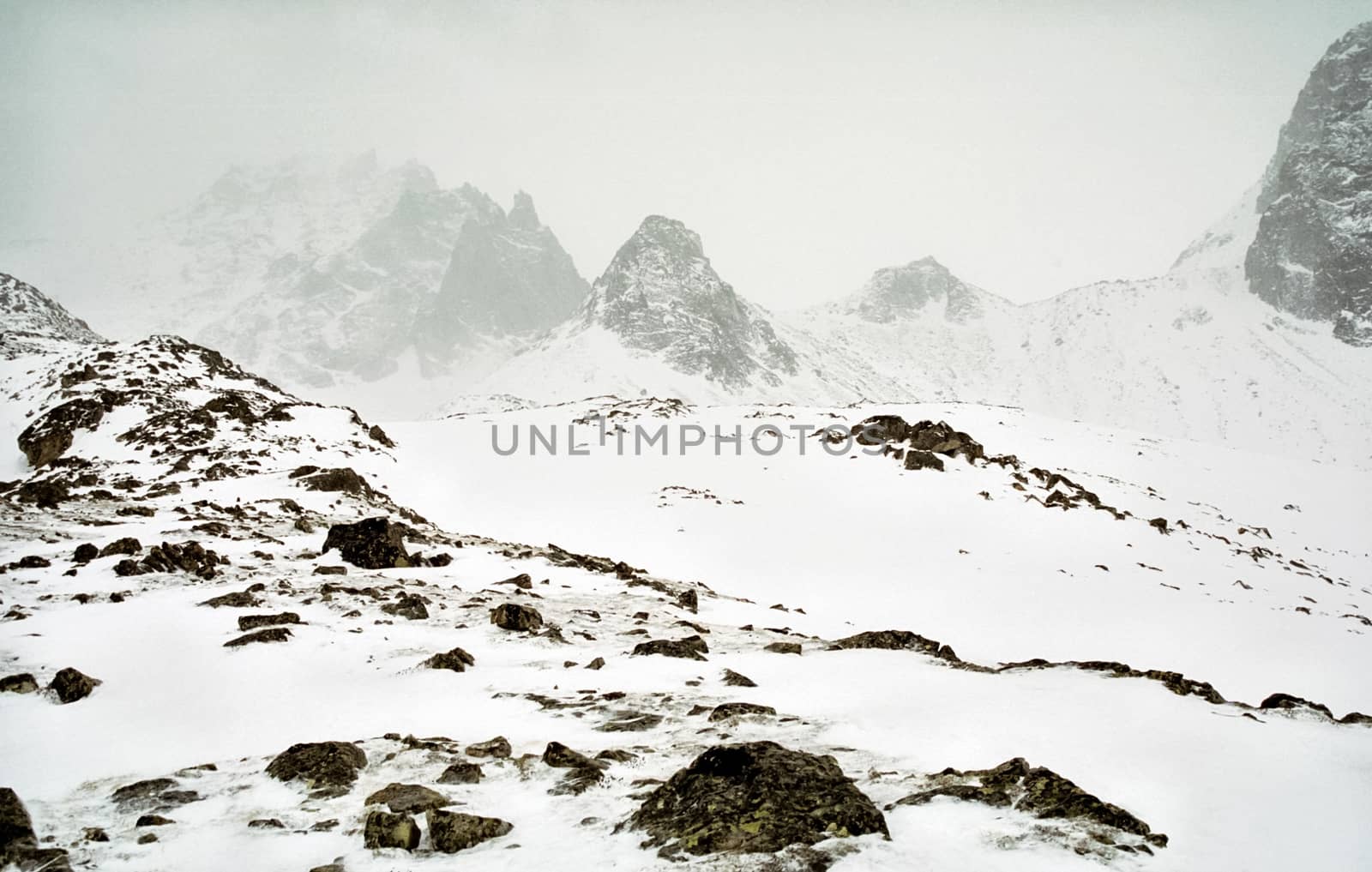 Mount Sayan in winter in the snow. The nature of the mountains is sayan.