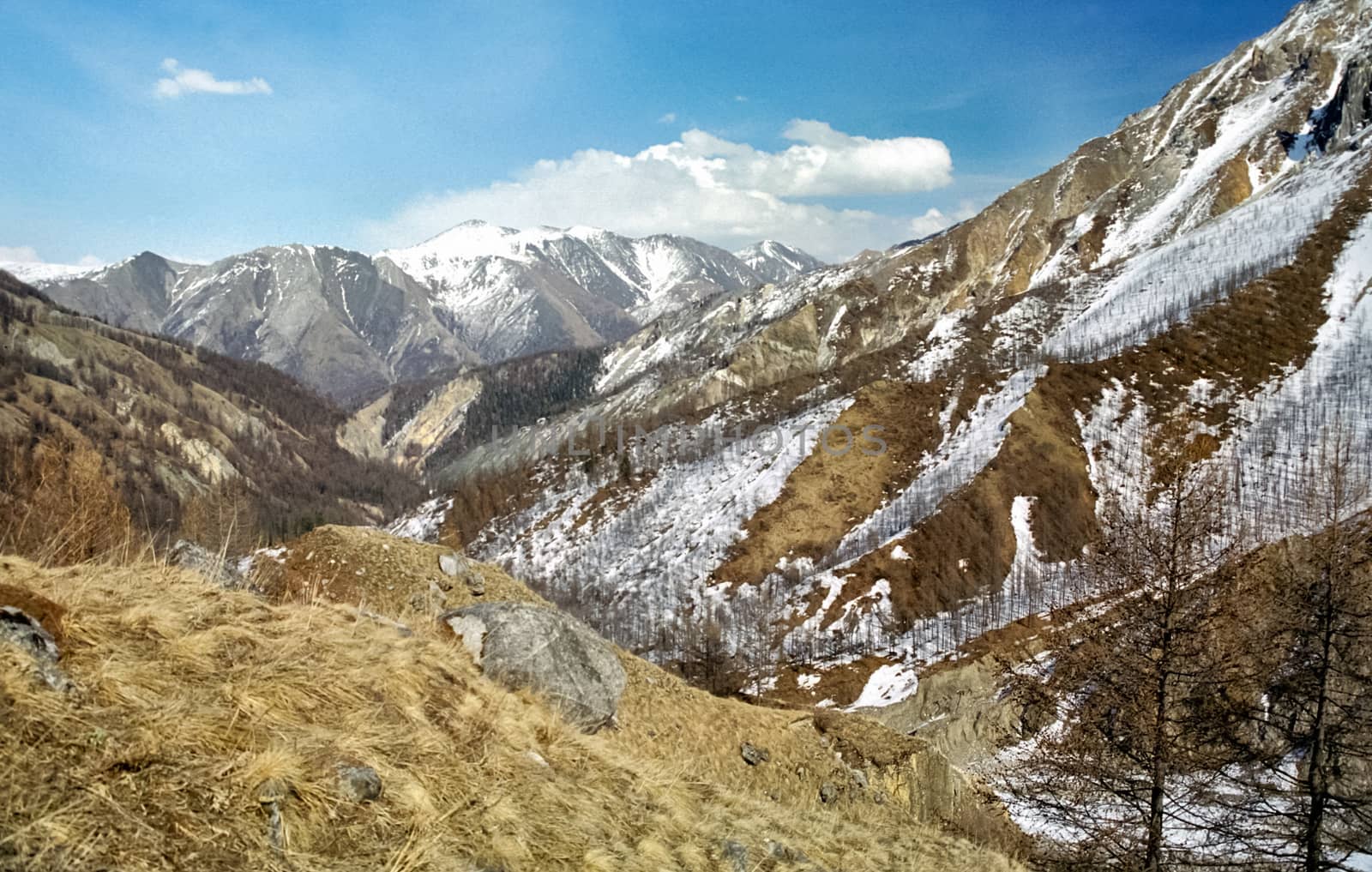 Mount Sayan in winter in the snow. The nature of the mountains is sayan.