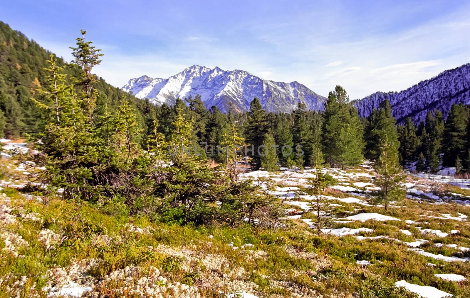 The mountains of the sayans. The nature of the mountains is sayan. Vegetation in the mountains