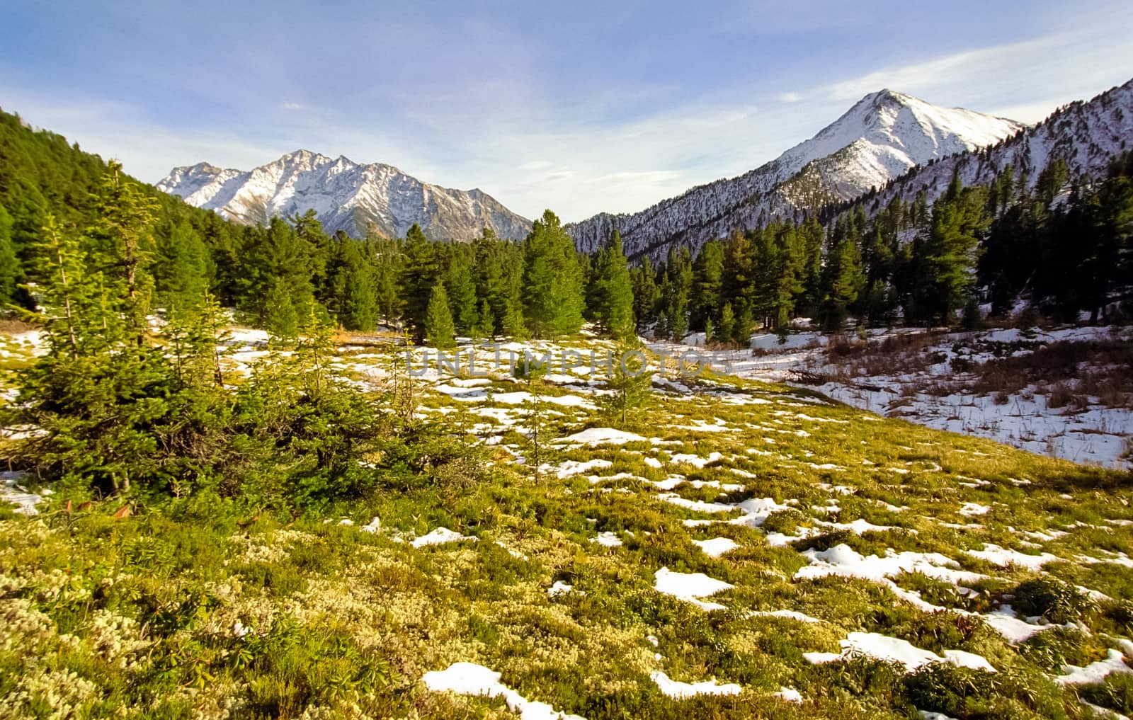 The mountains of the sayans. The nature of the mountains is sayan. Vegetation in the mountains