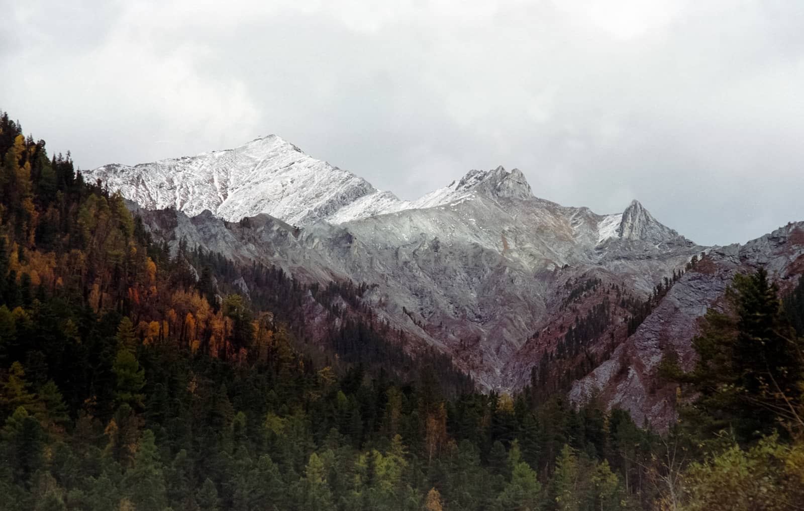 The mountains of the sayans. The nature of the mountains is sayan. Vegetation in the mountains