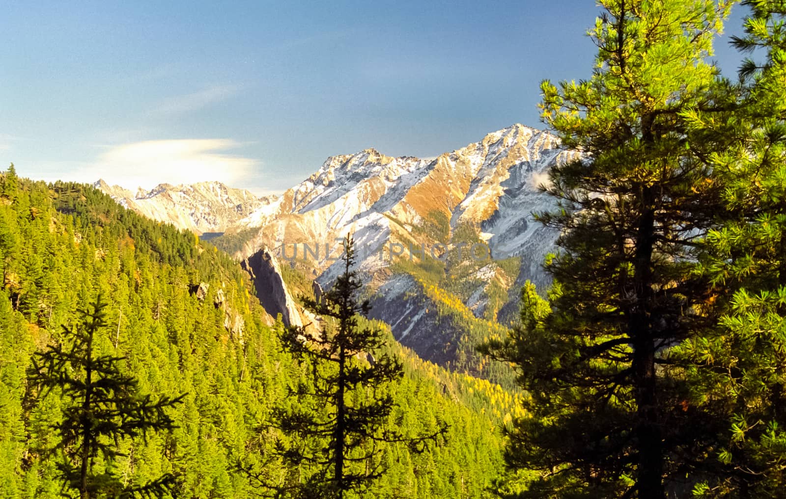 The mountains of the sayans. The nature of the mountains is sayan. Vegetation in the mountains
