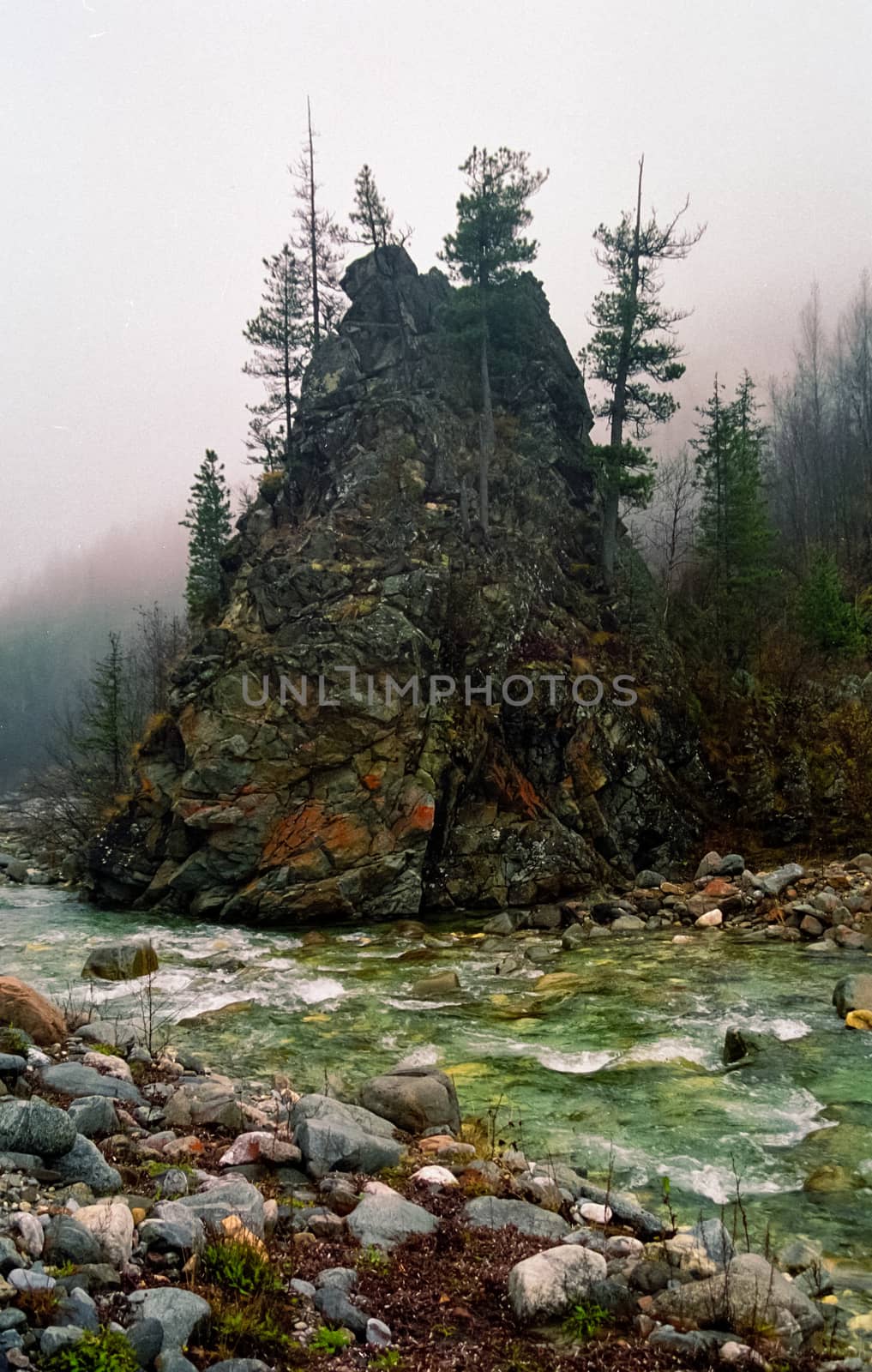The mountains of the sayans. The nature of the mountains is sayan. Vegetation in the mountains