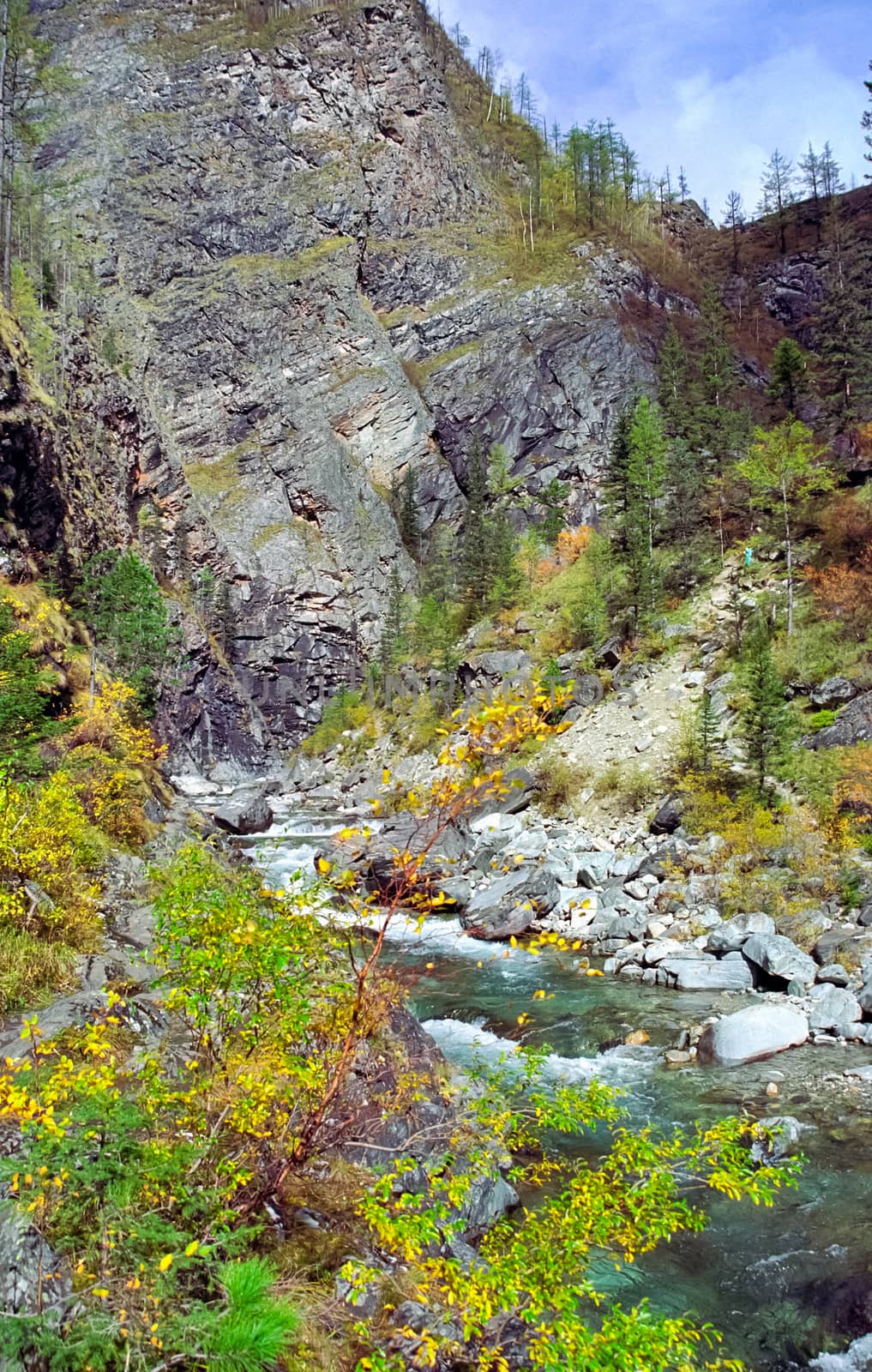 mountains of the sayans. The nature of the mountains is sayan. Vegetation in the mountains by DePo