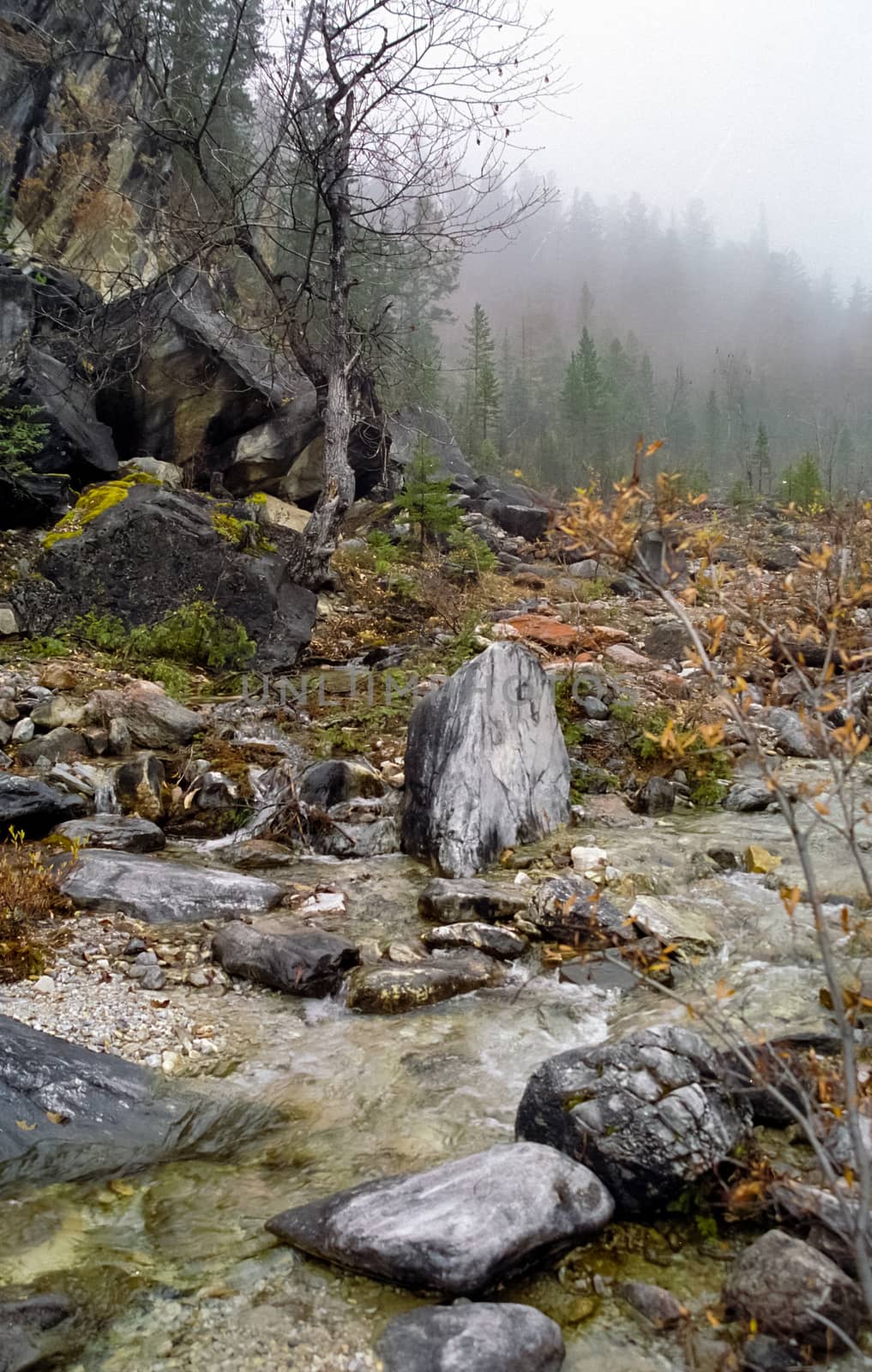 mountains of the sayans. The nature of the mountains is sayan. Vegetation in the mountains by DePo