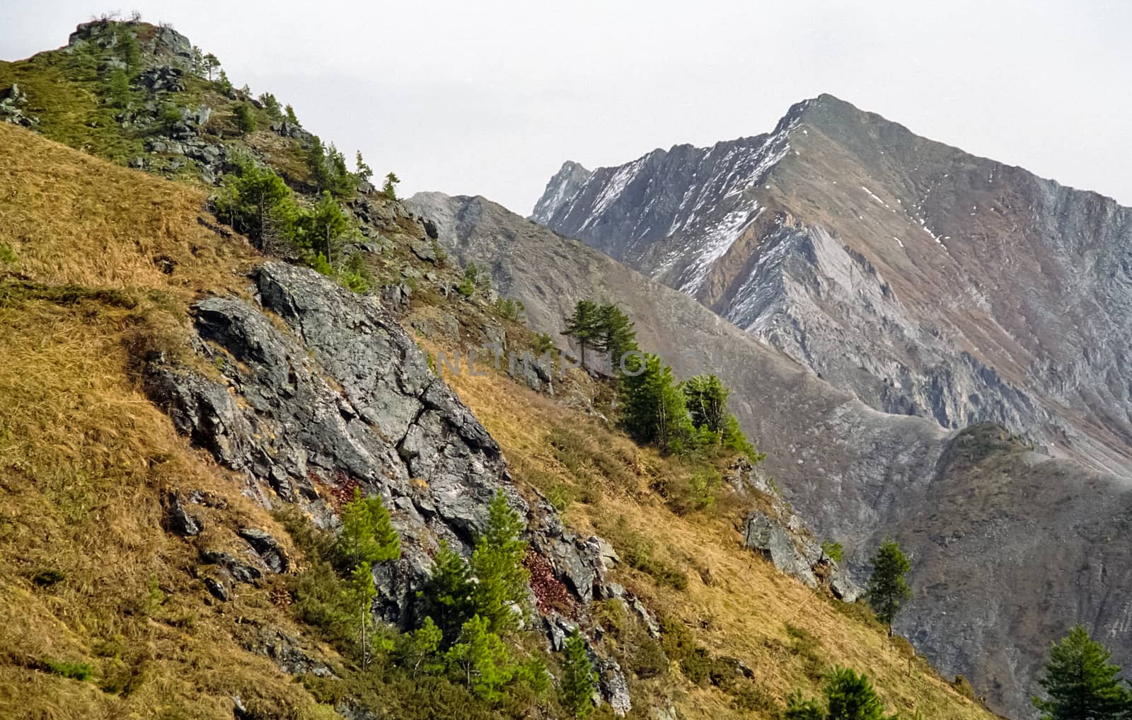 The mountains of the sayans. The nature of the mountains is sayan. Vegetation in the mountains