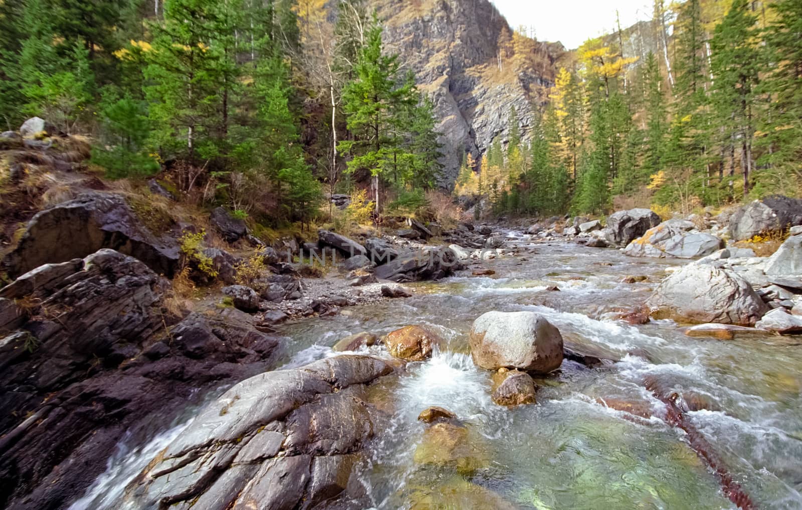 The mountains of the sayans. The nature of the mountains is sayan. Vegetation in the mountains