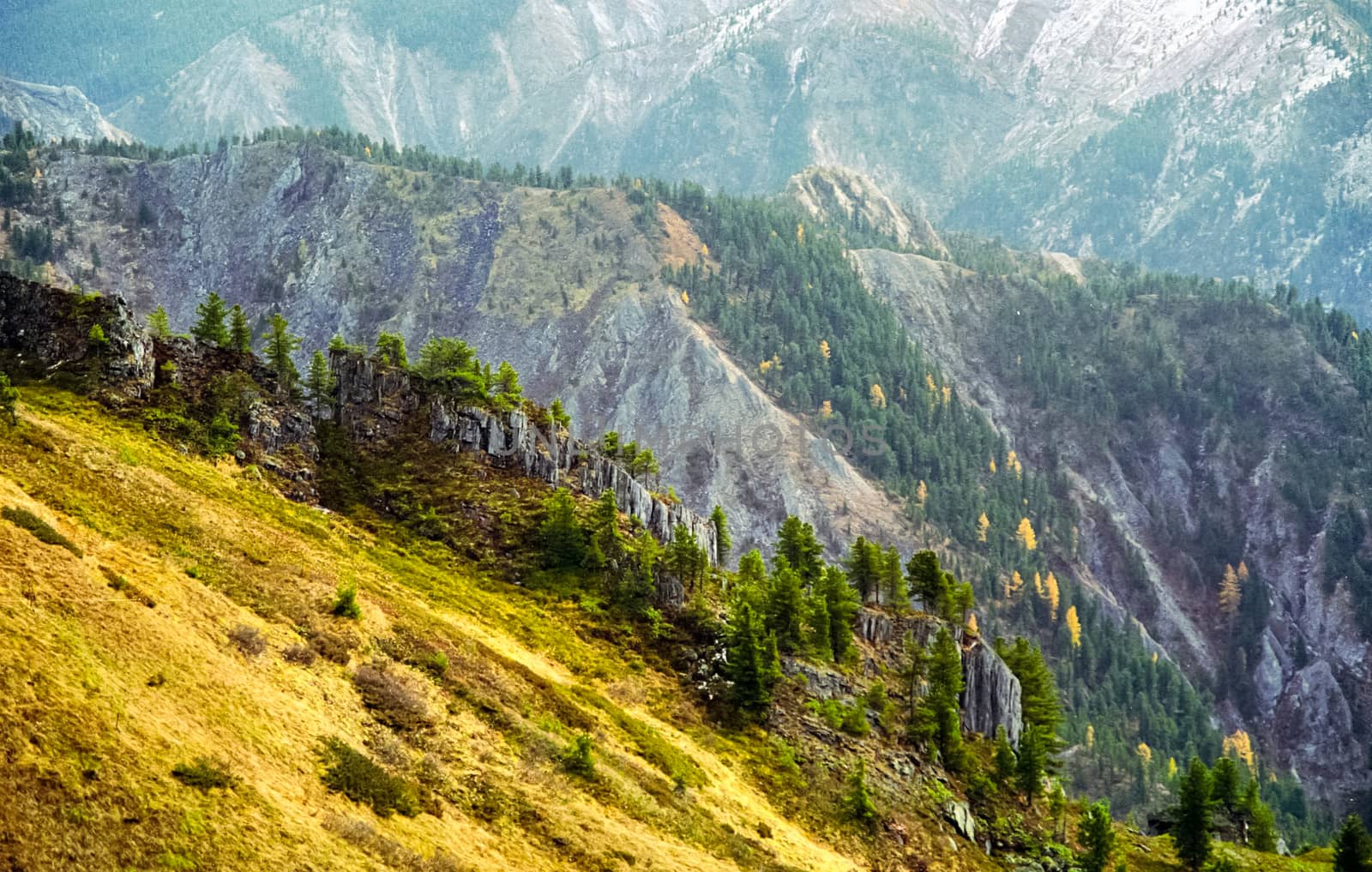 The mountains of the sayans. The nature of the mountains is sayan. Vegetation in the mountains