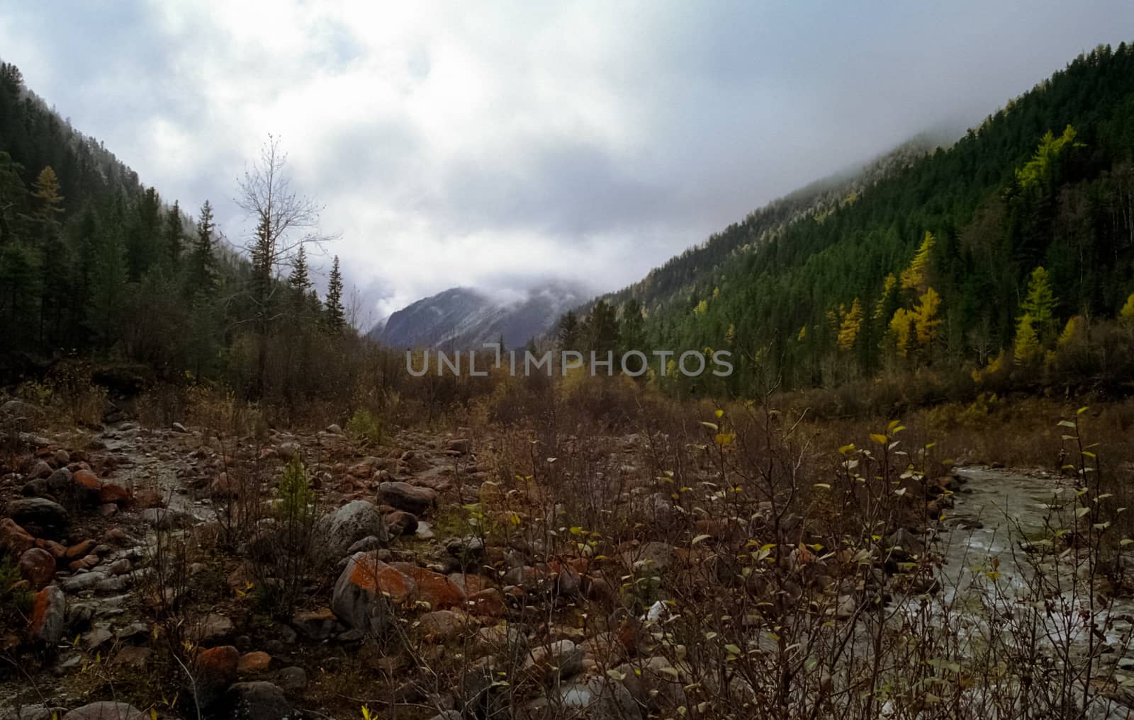 The mountains of the sayans. The nature of the mountains is sayan. Vegetation in the mountains