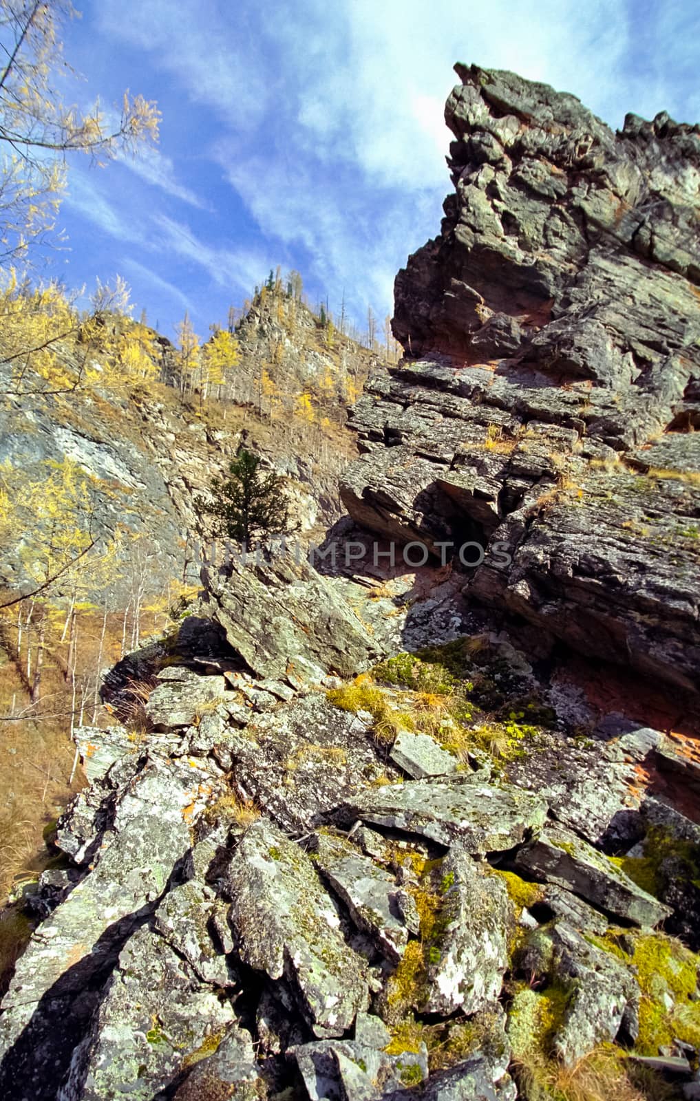 The mountains of the sayans. The nature of the mountains is sayan. Vegetation in the mountains