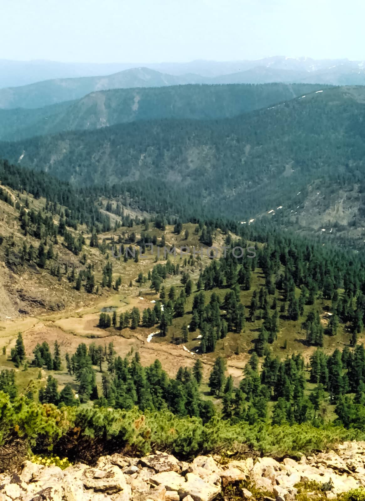 The mountains of the sayans. The nature of the mountains is sayan. Vegetation in the mountains