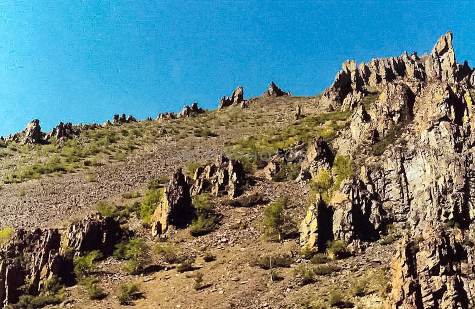 The mountains of the sayans. The nature of the mountains is sayan. Vegetation in the mountains