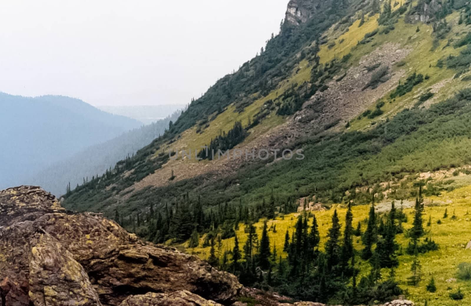 The mountains of the sayans. The nature of the mountains is sayan. Vegetation in the mountains