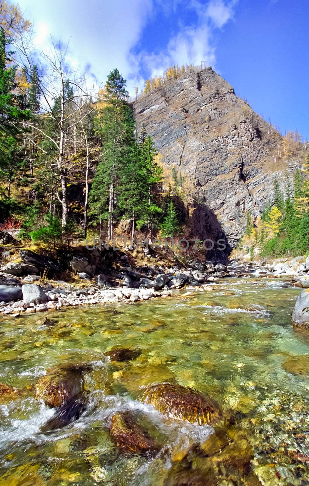 mountains of the sayans. The nature of the mountains is sayan. Vegetation in the mountains by DePo