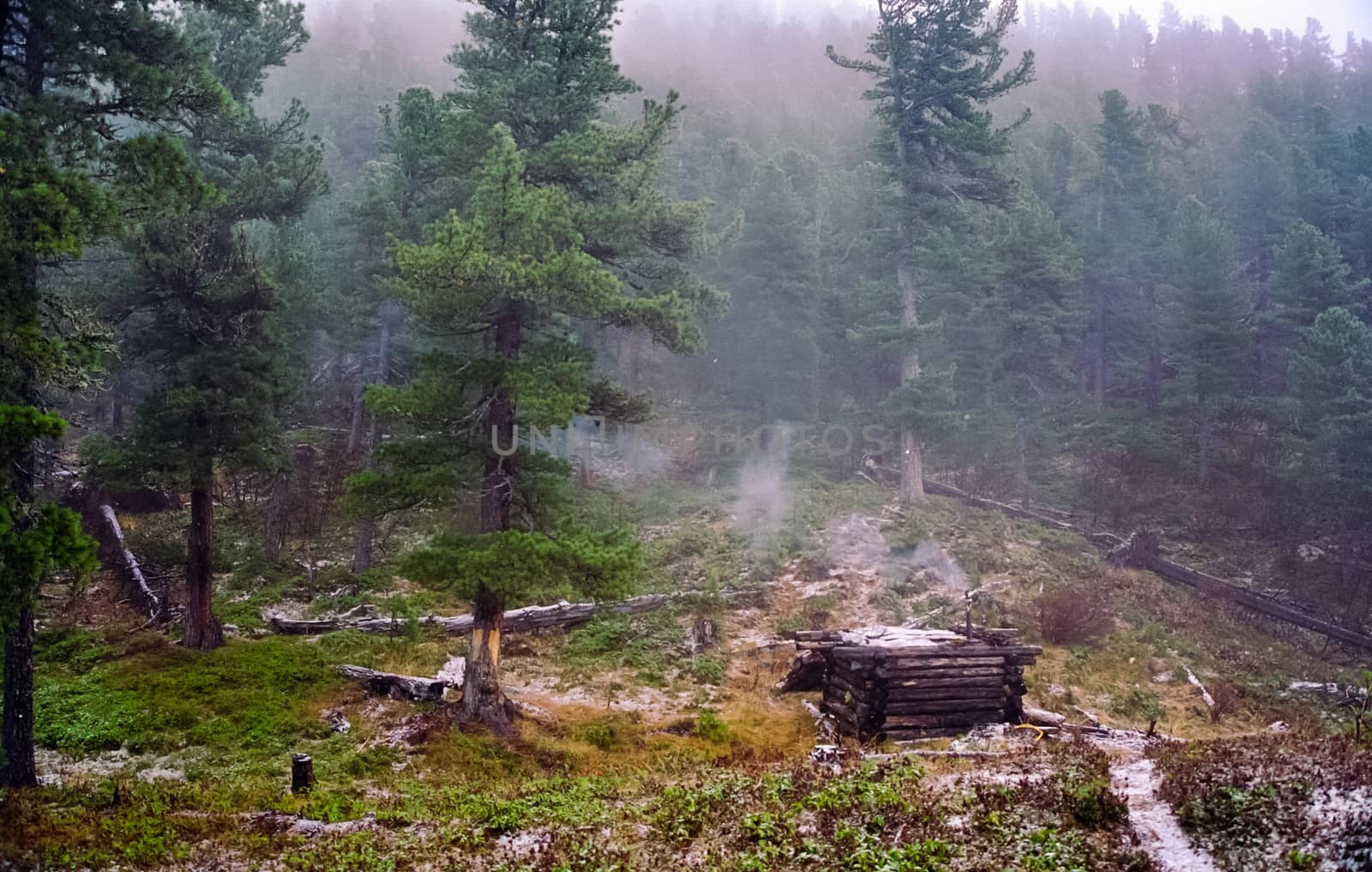 Nature in the mountains of Sayana. Russian taiga nature.