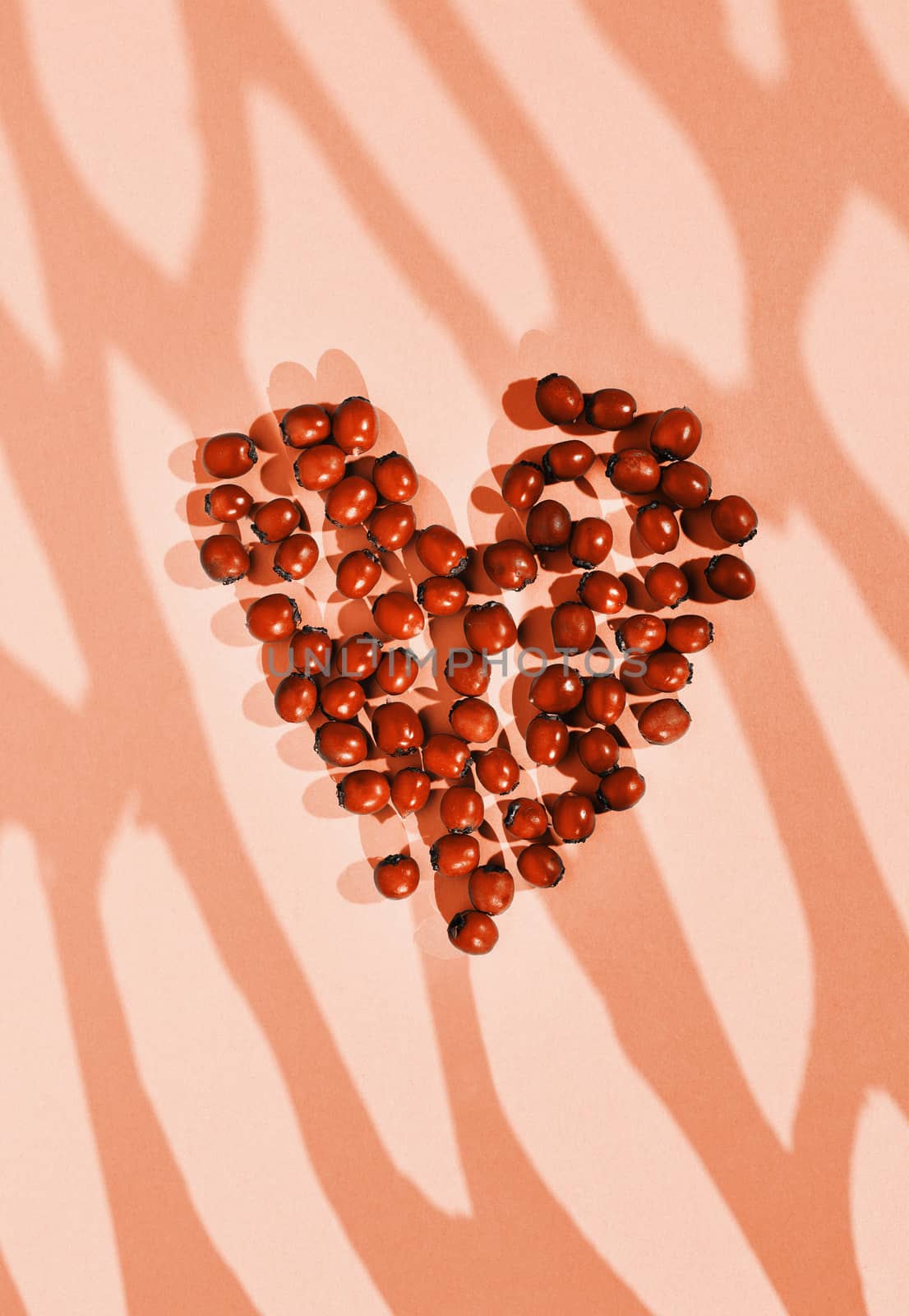 Overhead view of berries in heart shape , shadows on background , monochromatic coral