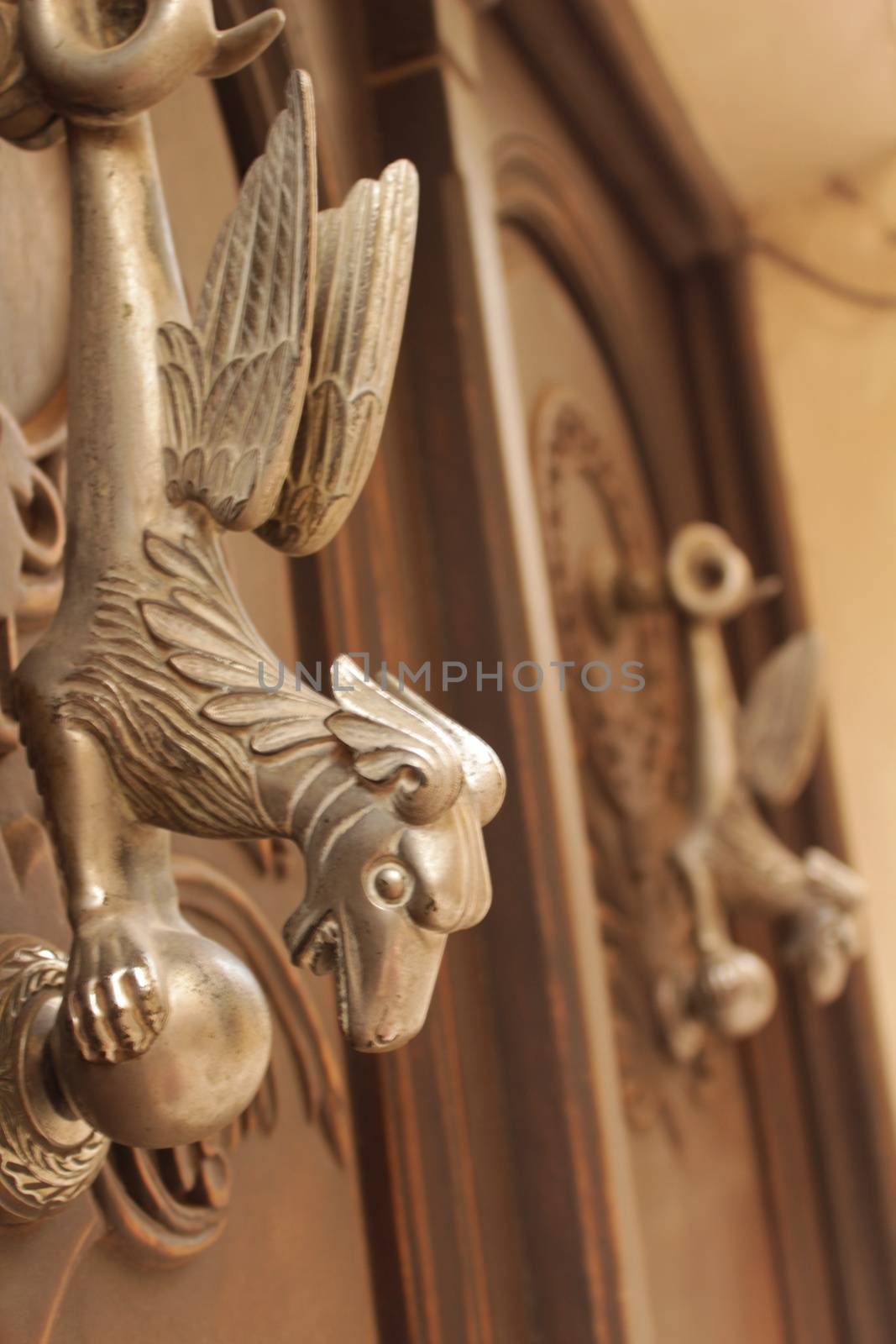 Golden door knocker with mythological dragon shape on old wooden door by soniabonet