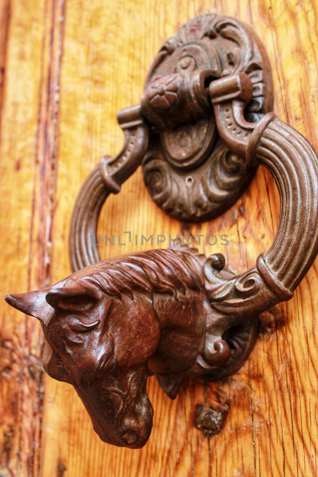 Beautiful and Vintage door knocker horse shaped on wooden door