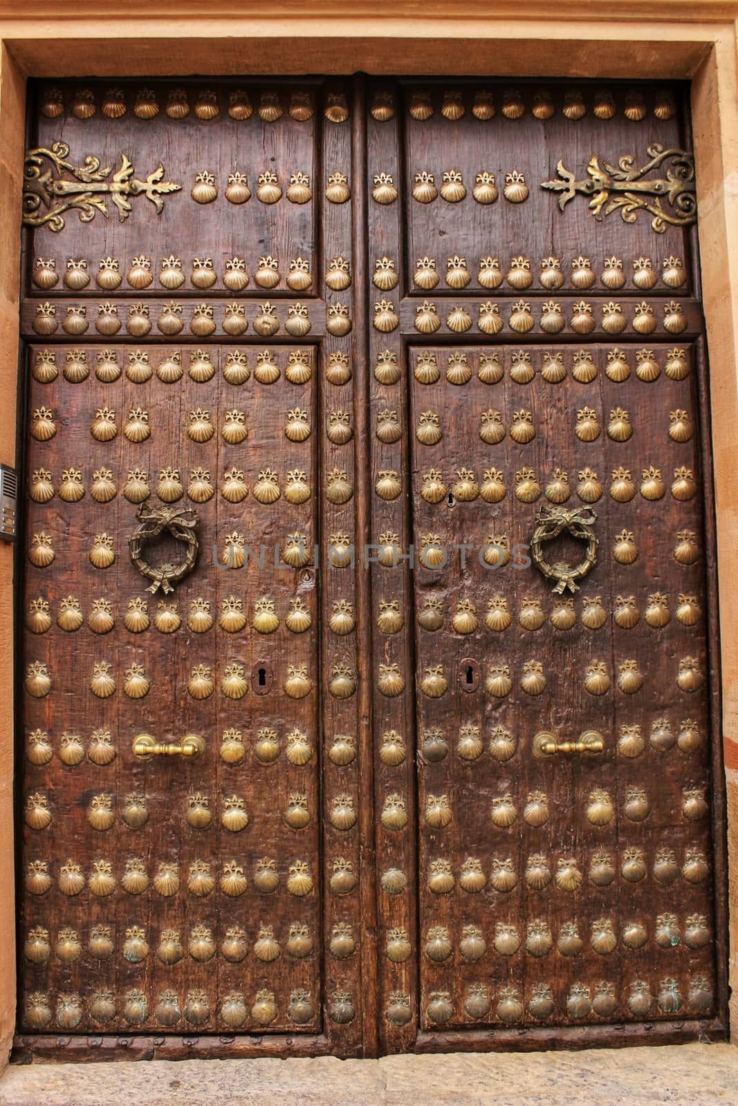 Old door with golden wrought iron details with figures of shells. Rusty and antique lock in the corner.