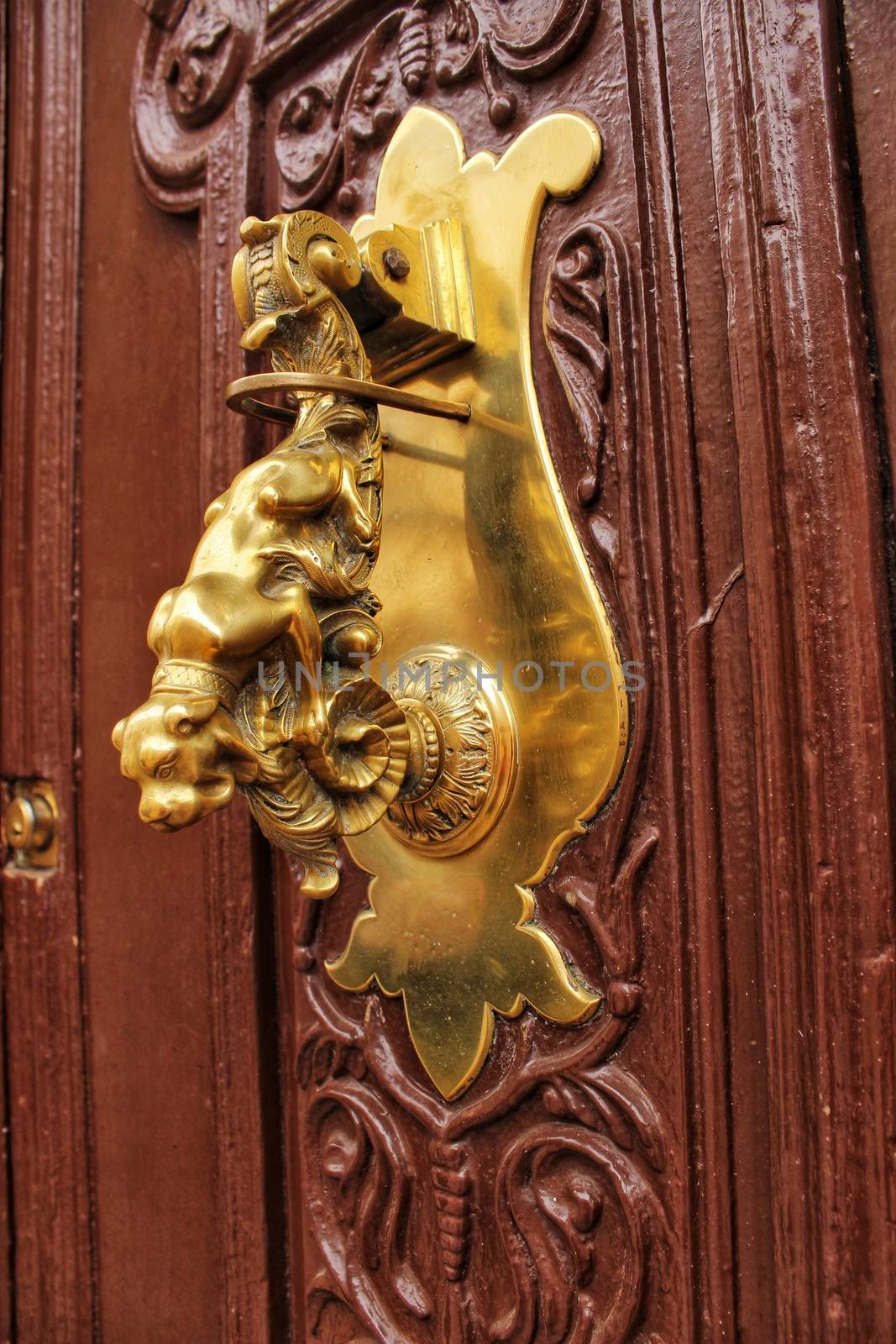Golden door knocker with dog shape on old wooden door by soniabonet