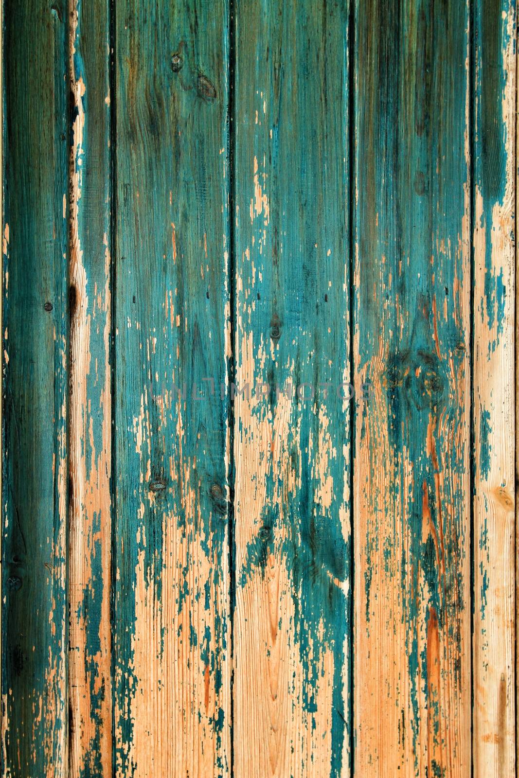 Old wooden door painted green texture