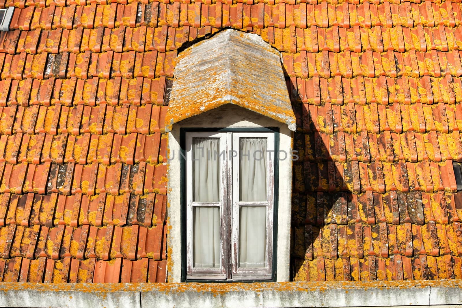 Old colorful and typical orange tiled roof in Lisbon, Portugal.