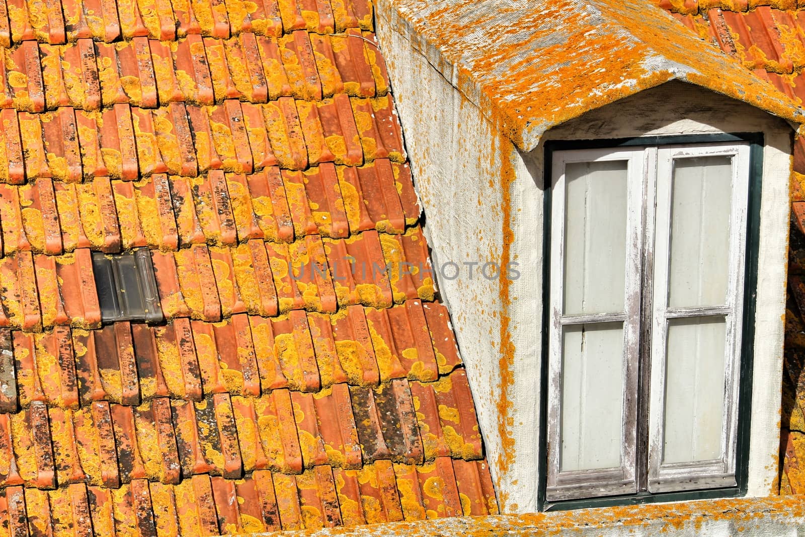 Old colorful and typical orange tiled roof in Lisbon, Portugal.