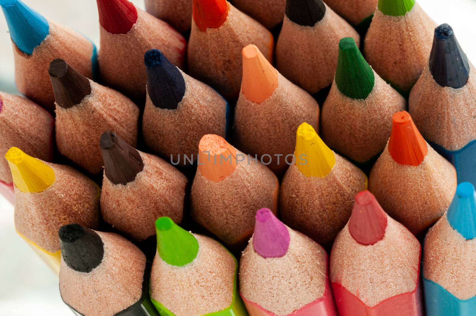 Standing group of colorful pencils macro view