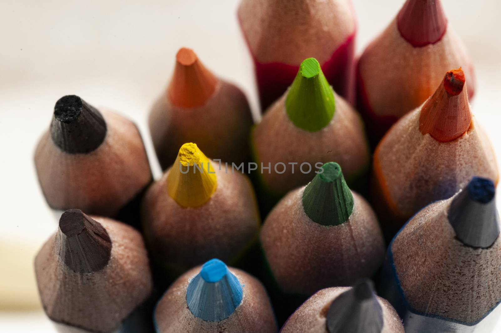 Colorful pencils group close up view in soft lightbox