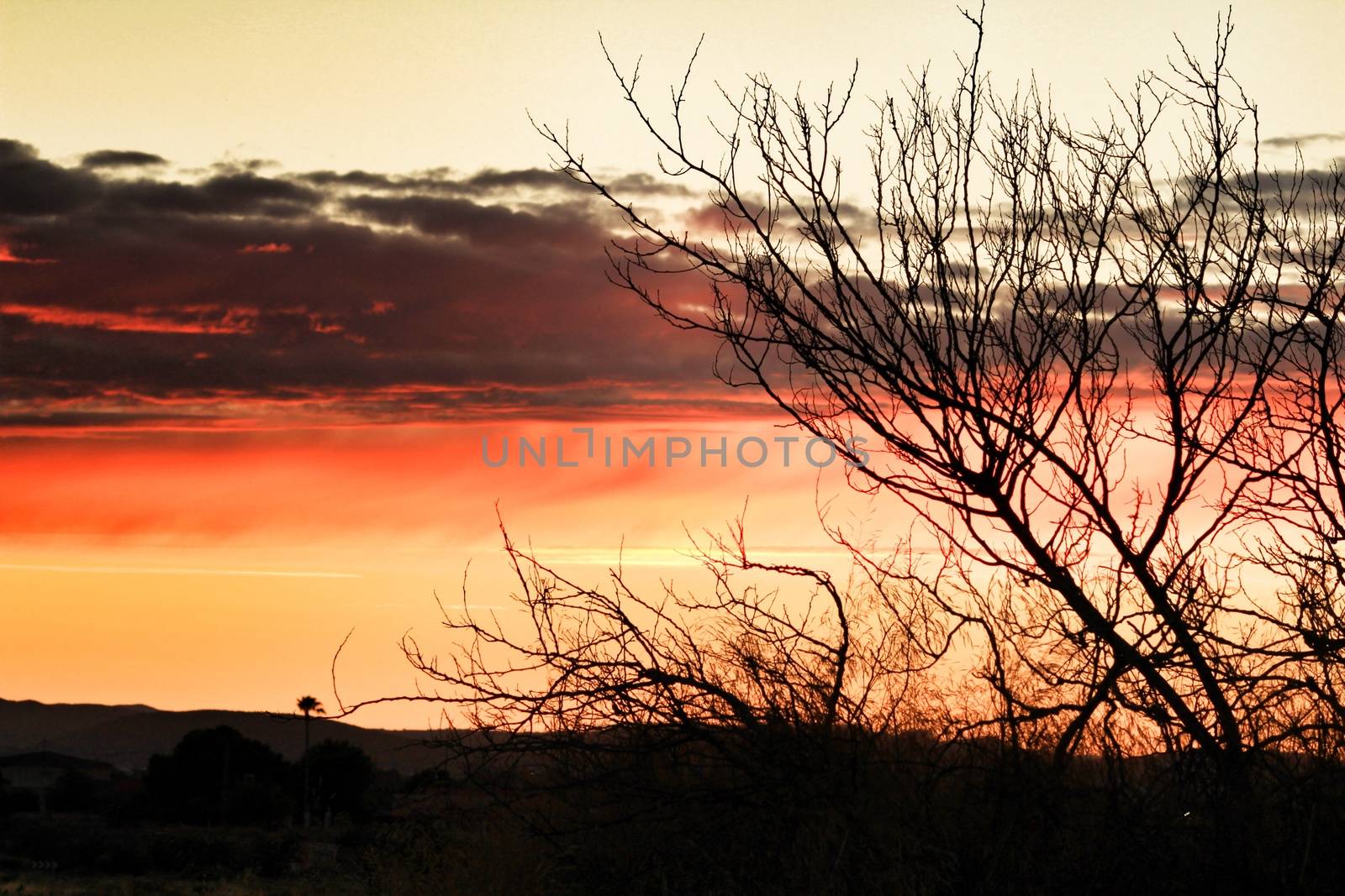 Clouds and lovely sky at Sunset in Alicante in spring