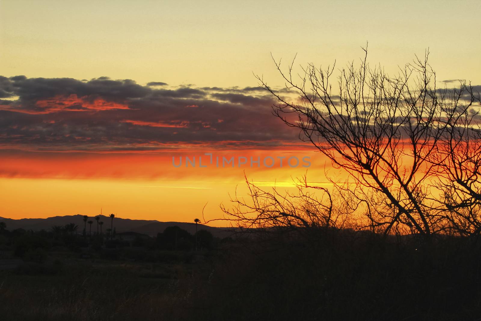 Clouds and lovely sky at Sunset in Alicante in spring