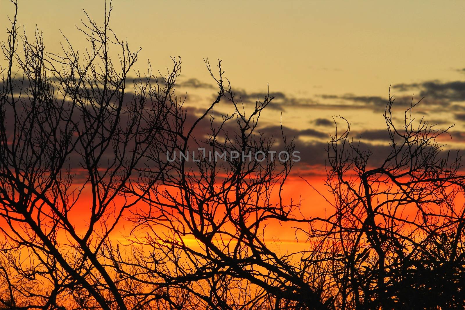 Clouds and lovely sky at Sunset in Alicante in spring