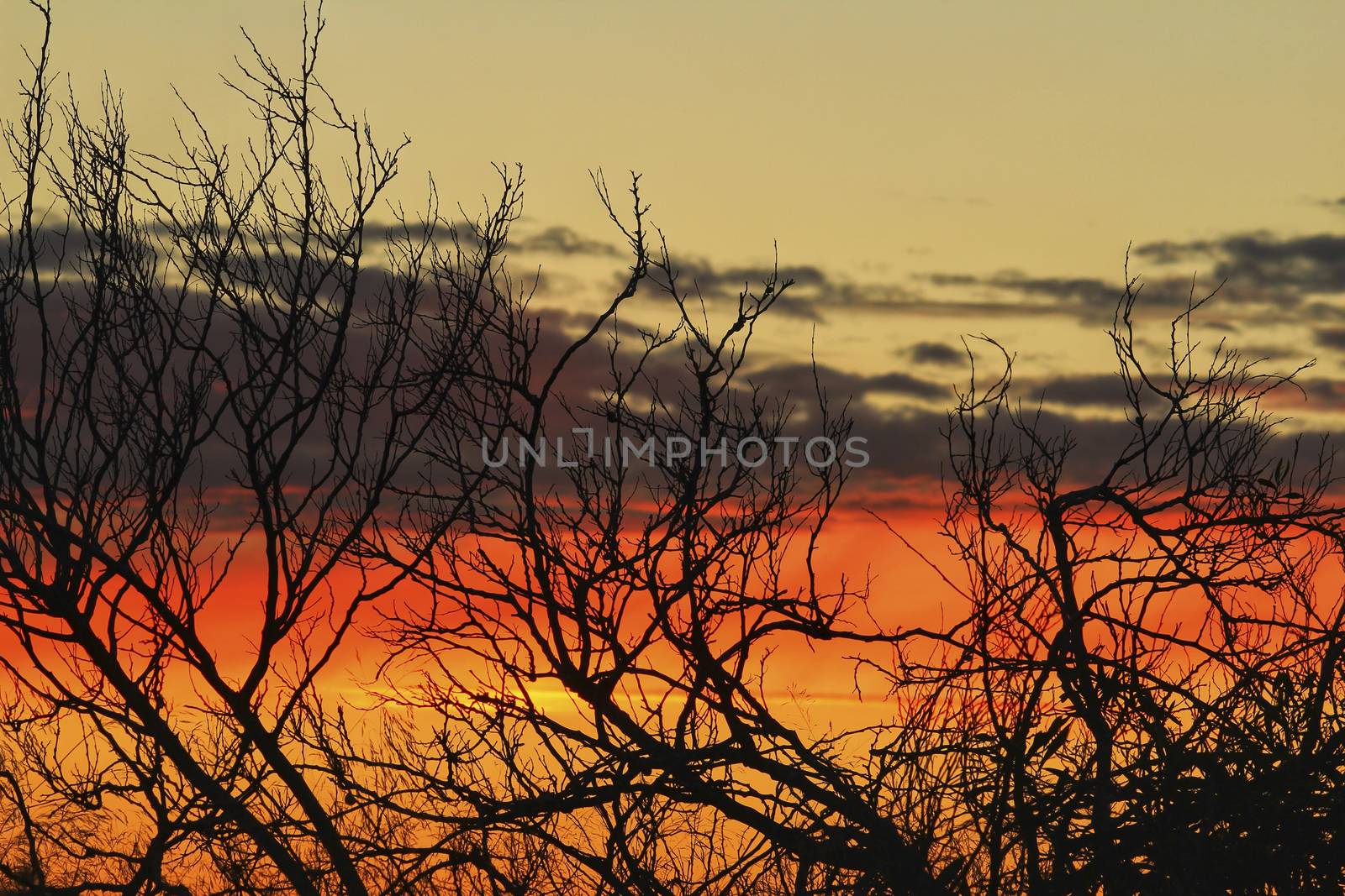 Clouds and lovely sky at Sunset in Alicante in spring
