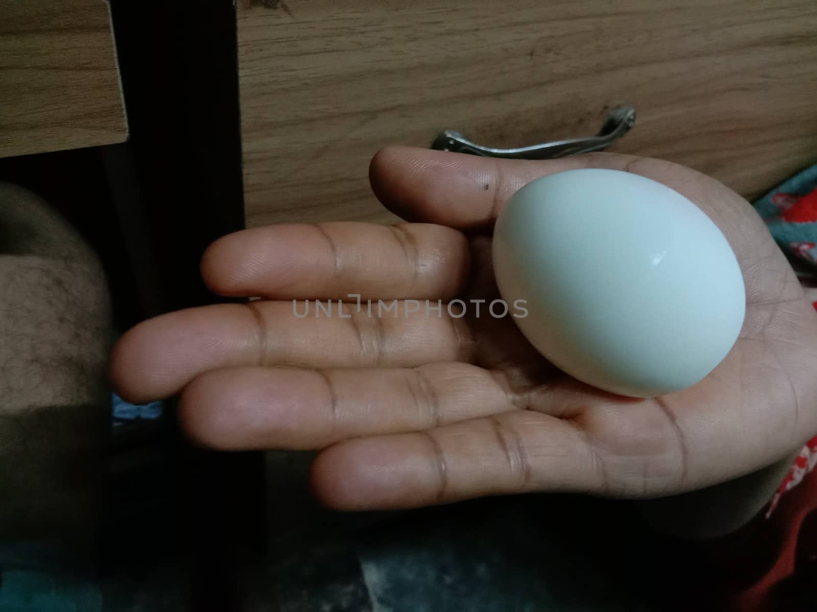 tasty and healthy egg closeup on hand