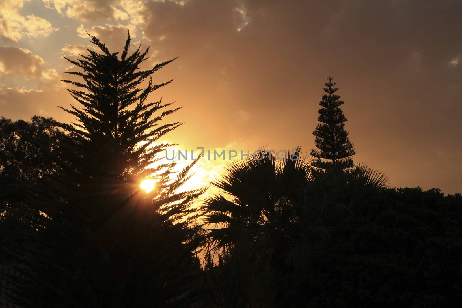 Clouds and lovely sky at Sunset in Alicante in spring