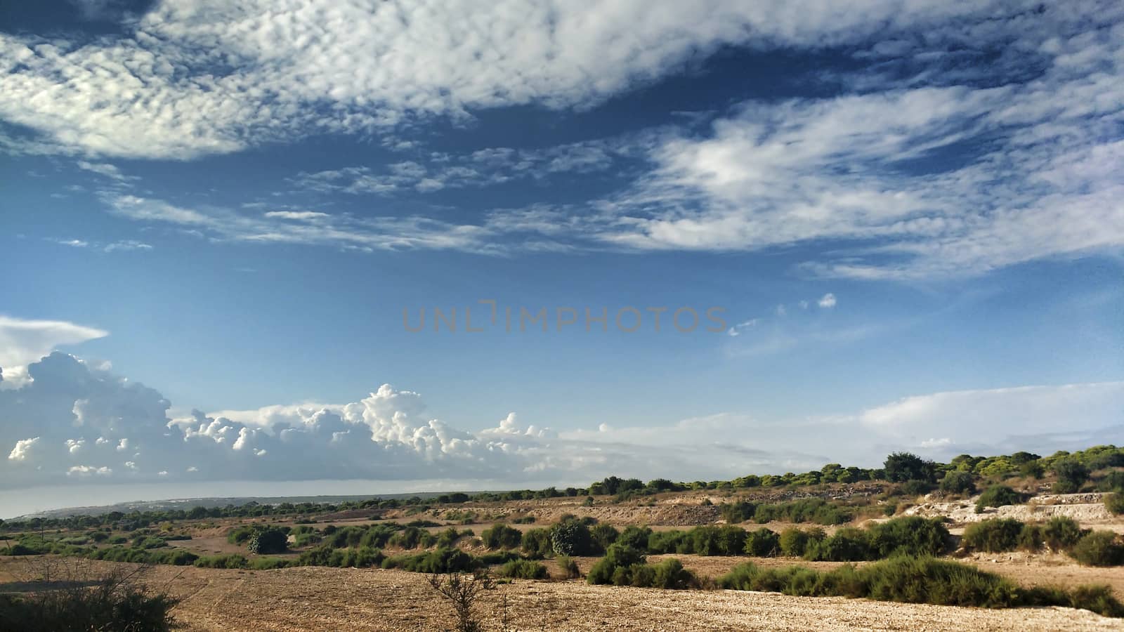 Countryside landscape with native bushes and conifers in Alicante, Spain