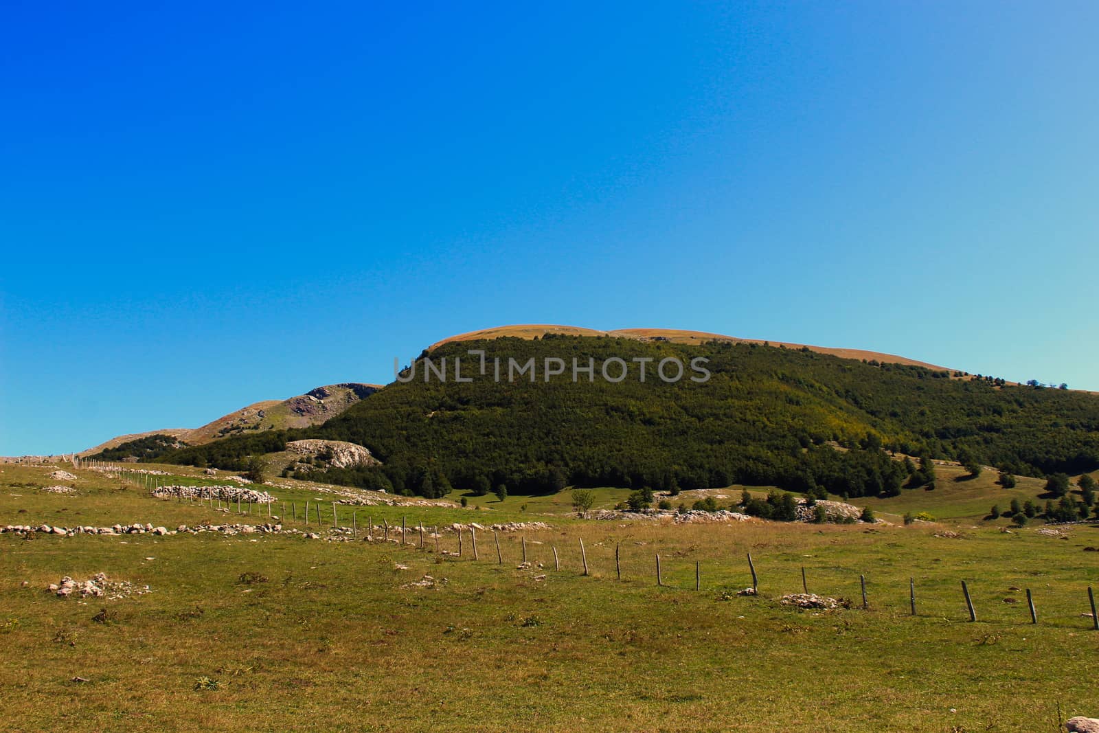 Meadows and pastures surrounded by a wooden fence and stones. Behind is a small hill with a forest. by mahirrov